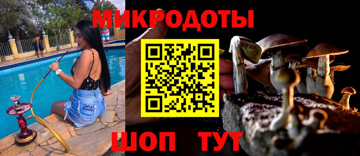 Галлюциногенные грибы MAGIC MUSHROOMS  Вход с VPN  Курчалой  Псилоцибиновые грибы мицелий 